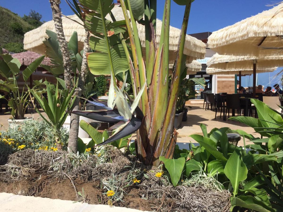Suebi Rooms Termoli Bagian luar foto