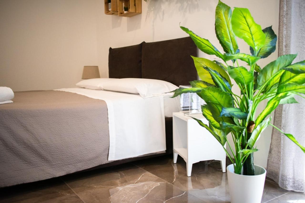 Suebi Rooms Termoli Bagian luar foto